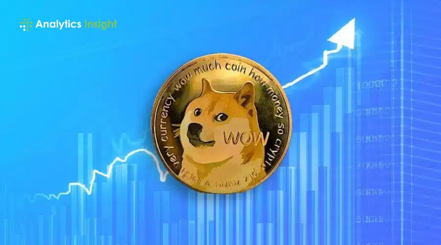 The Top 10 Things You Can Buy With DOGE