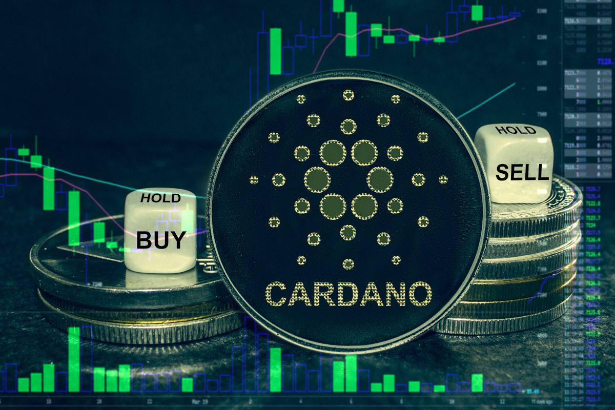 Mantle (MNT) Is Up 38% Monthly, Cardano (ADA) Is Up 72% Year-To-Date, and KangaMoon (KANG) Is Up 50% In Days