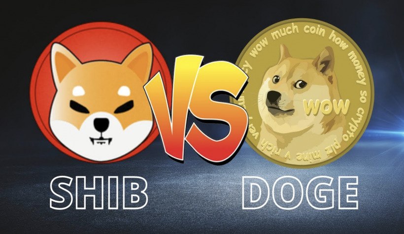 Dogecoin (DOGE) vs. Shiba Inu (SHIB): Why Retik Finance (RETIK) Is a Better Option